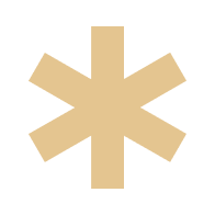 Vault Favicon
